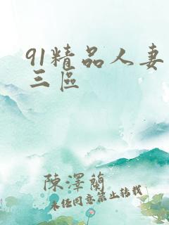 91精品人妻二三区