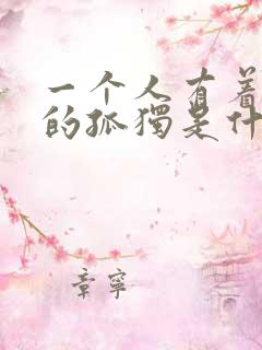 一个人有着孤单的孤独是什么歌