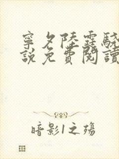 宁夕陆霆骁的小说免费阅读