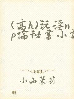 (高h)玩淫np伦秘书小说