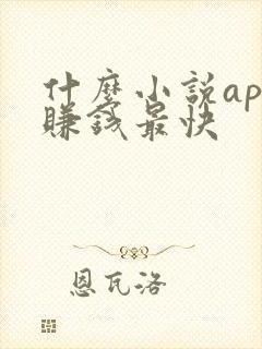 什么小说app赚钱最快