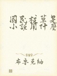 国民校草是女生小说用什么app可以免费