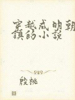 穿越成明朝朱祁镇的小说