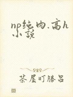 np纯肉.高h小说