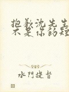 抱歉沈先生孩子不是你的短剧在线观看全集