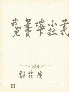 我是坏小子漫画免费下拉式免费阅读