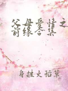 父母爱情之再续前缘合集