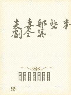 夫妻那些事电视剧全集