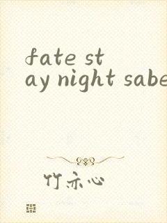 fate stay night saber