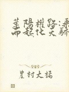 叶阳权路:乘风而起化天骄的小说