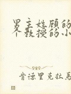 男主姓顾的是一个教授的小说