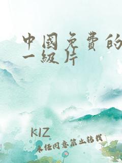 中国免费的黄色一级片