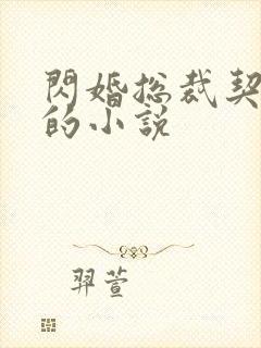 闪婚总裁契约妻的小说