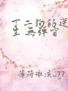 丁二狗的逆袭人生 无弹窗
