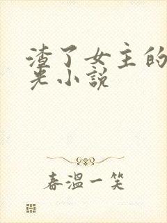 渣了女主的白月光小说