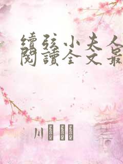 续弦小夫人免费阅读全文最新