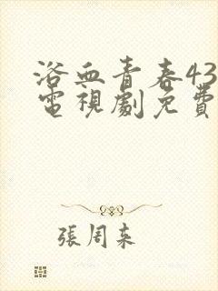 浴血青春43集电视剧免费观看