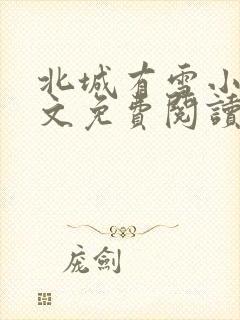 北城有雪小说全文免费阅读无弹窗