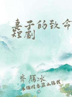 妻子的致命谎言短剧