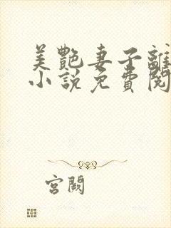 美艳妻子离婚后小说免费阅读txt