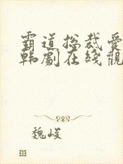 霸道总裁爱上我韩剧在线观看