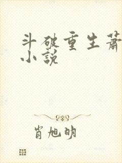 斗破重生萧炎的小说