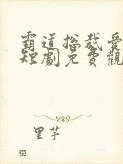 霸道总裁爱上我短剧免费观看