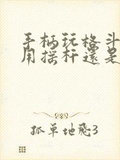 手柄玩格斗游戏用摇杆还是十字键