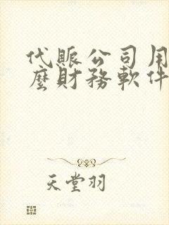 代账公司用的什么财务软件