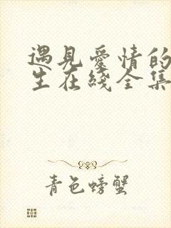 遇见爱情的利先生在线全集