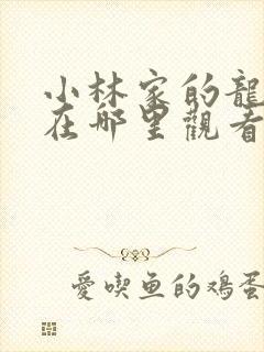 小林家的龙女仆在哪里观看?