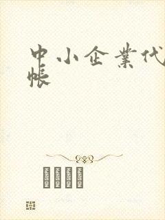 中小企业代理记帐