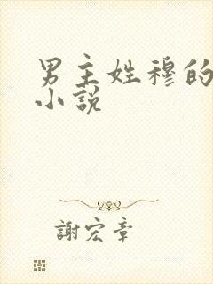 男主姓穆的总裁小说