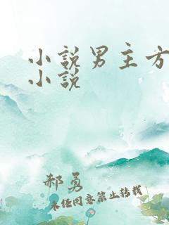 小说男主方辰的小说