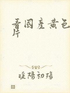 看国产黄色一级片