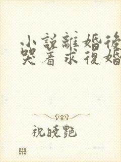 小说离婚后前夫哭着求复婚全文阅读