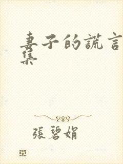 妻子的谎言第七集