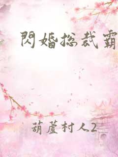 闪婚总裁霸道宠