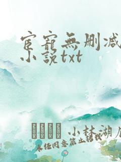 宦宠无删减原著小说txt