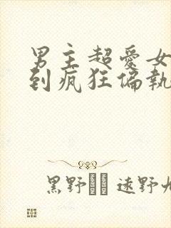 男主超爱女主爱到疯狂偏执的小说