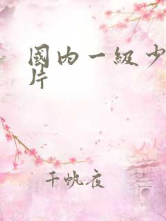 国内一级少妇淫片