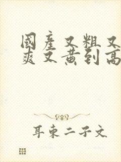 国产又粗又猛又爽又黄到高潮视频