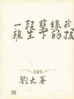 一段孽缘我与母亲生下的孩子小说免费阅读