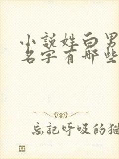 小说姓白男主角名字有哪些