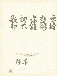 歌词你想要的我却不能够给你我全部