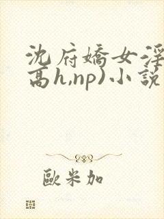 沈府娇女淫史(高h,np)小说