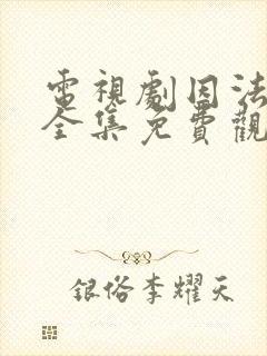 电视剧因法之名全集免费观看