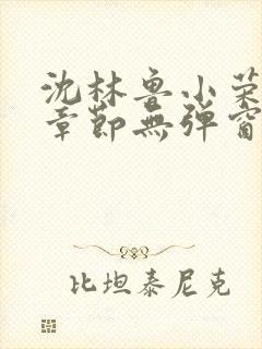 沈林鲁小荣最新章节无弹窗笔趣阁