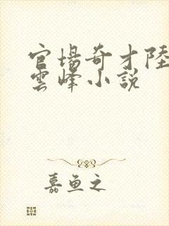 官场奇才陆羽刘云峰小说