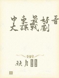 中东最好看的十大谍战剧